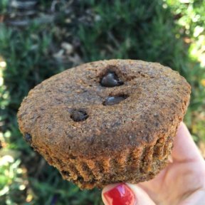 Gluten-free chocolate chip muffin from The Good Cookies